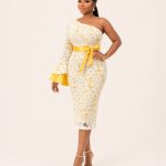 Lace One Shoulder Dress